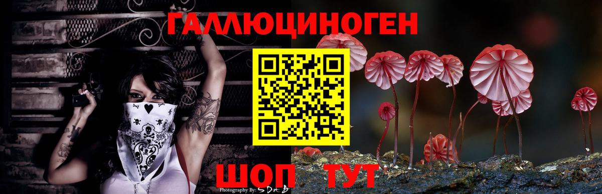 Сарапул  Каннабис  Экстази  Вход с VPN  MDMA  МАРИХУАНА  Меф   ГАШ 