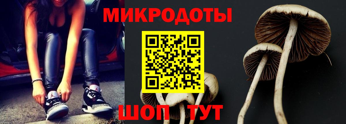 Псилоцибиновые грибы GOLDEN TEACHER Сарапул